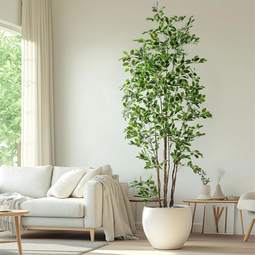 Bailikang 8FT Artificial Ficus Tree – Large Indoor Faux Plant